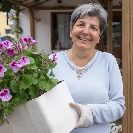 Golden Nest Apartment