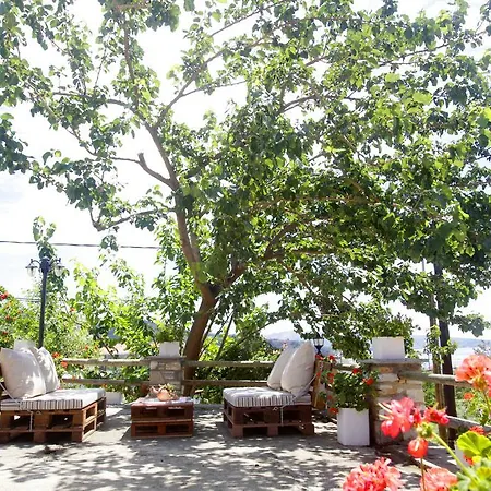 Golden Nest Limenaria (Thasos)