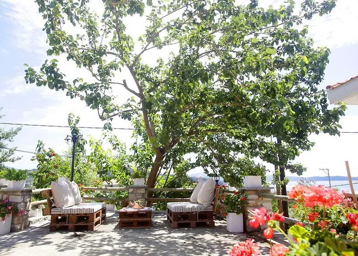 Golden Nest يميناريا